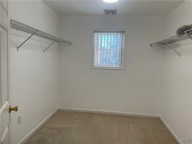 spacious closet featuring carpet flooring