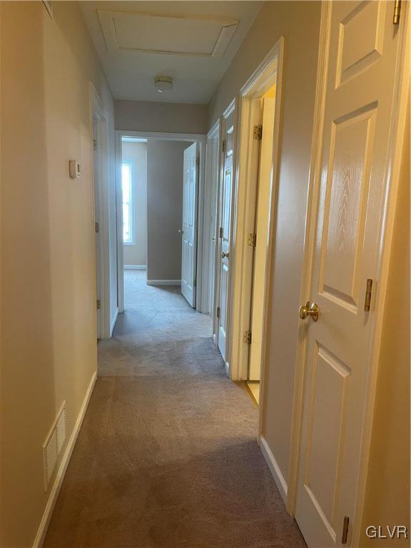 corridor with light colored carpet