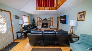 living room featuring light hardwood / wood-style flooring