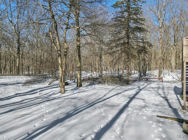 view of snowy yard