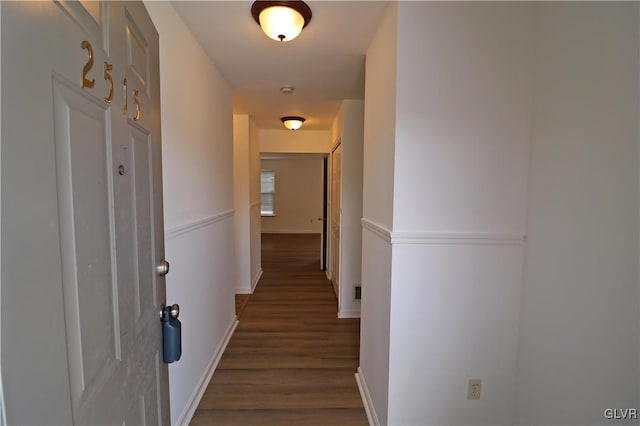 hall featuring dark hardwood / wood-style floors