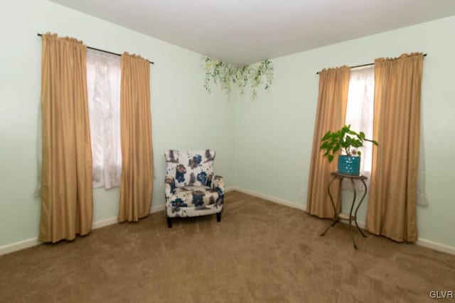 unfurnished room with carpet floors