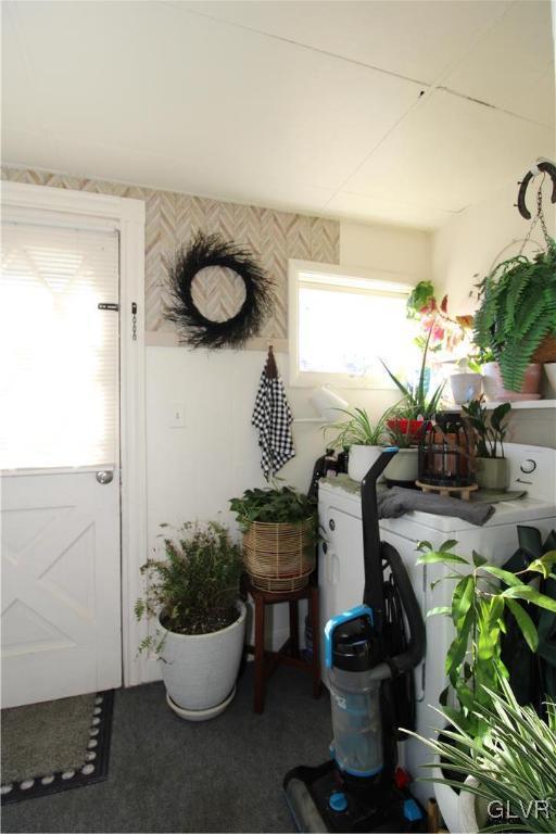 doorway to outside with carpet flooring