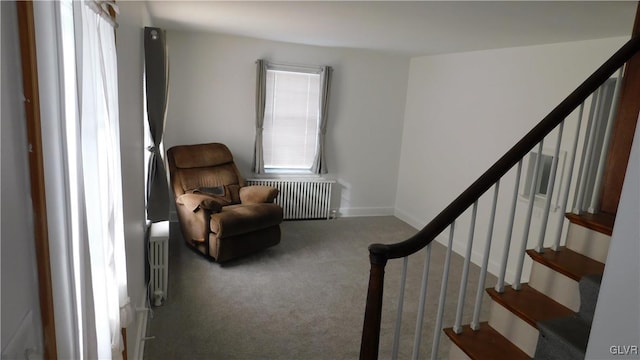 living area with carpet floors and radiator heating unit