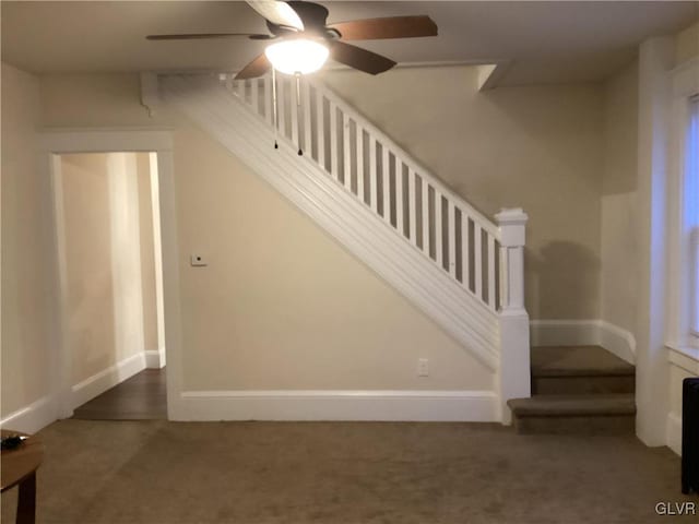 staircase with ceiling fan and carpet