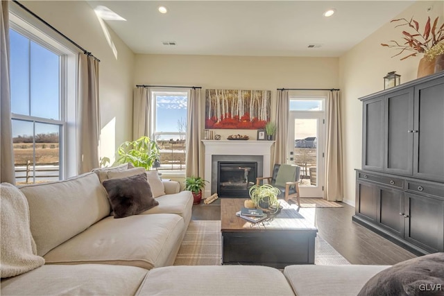 living room with dark wood-type flooring and a healthy amount of sunlight