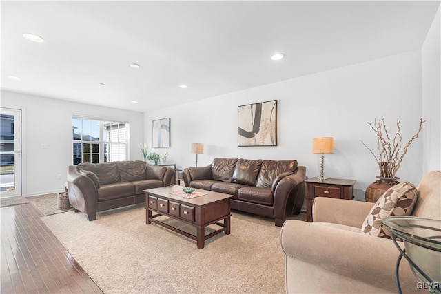 living room featuring light hardwood / wood-style flooring