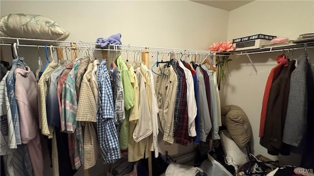 view of spacious closet