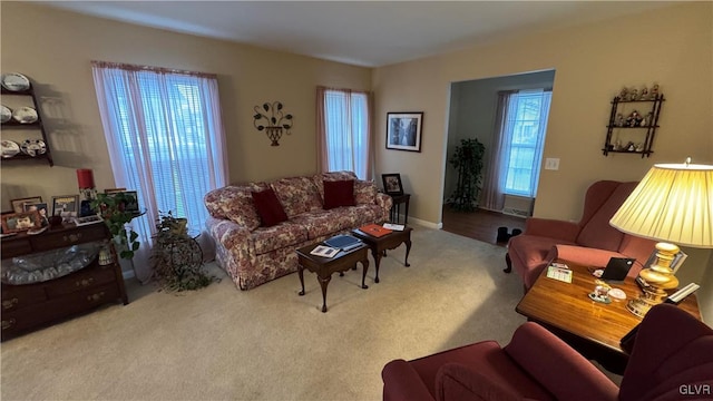 living room featuring light colored carpet