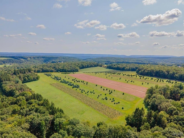 aerial view with a rural view