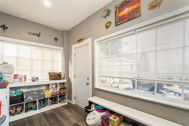 mudroom featuring dark hardwood / wood-style flooring