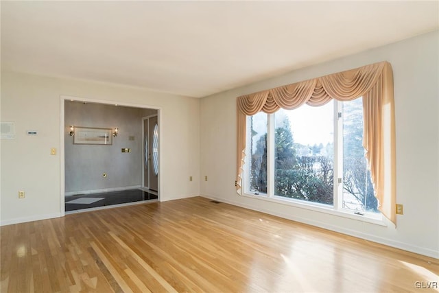 empty room featuring a wealth of natural light and light wood-type flooring