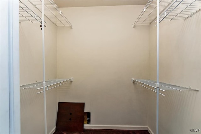 view of walk in closet