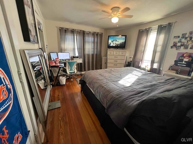 bedroom featuring ceiling fan and dark hardwood / wood-style floors