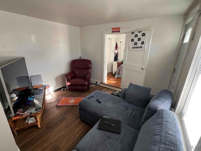 living room featuring dark hardwood / wood-style flooring