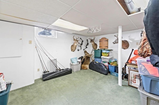 basement with a drop ceiling and carpet flooring