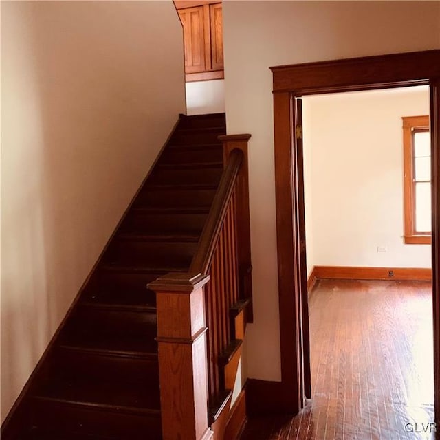 staircase with wood-type flooring