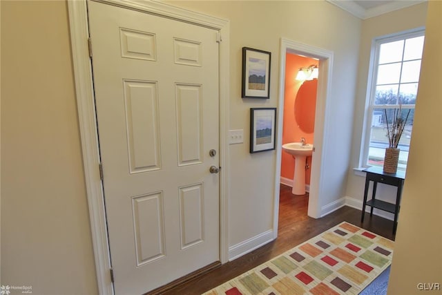 interior space with sink, crown molding, and dark wood-type flooring