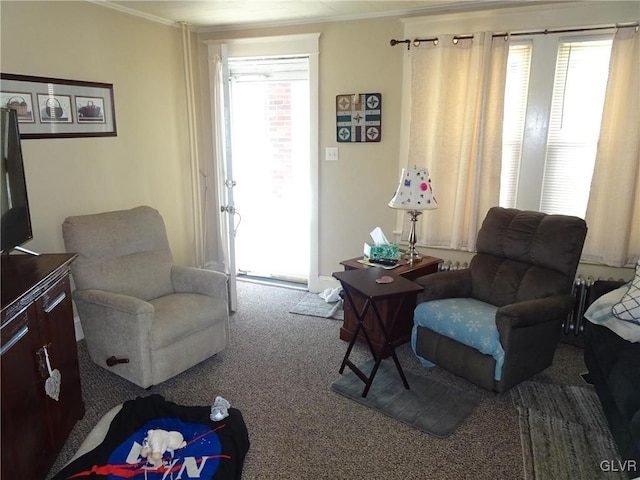 interior space with ornamental molding and a healthy amount of sunlight