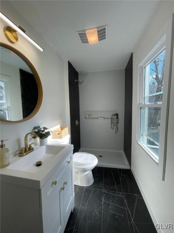 bathroom with vanity, a shower, and toilet