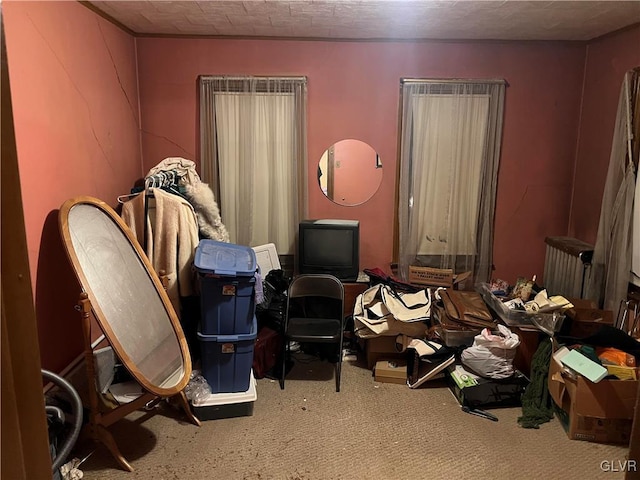 miscellaneous room with radiator heating unit and carpet floors