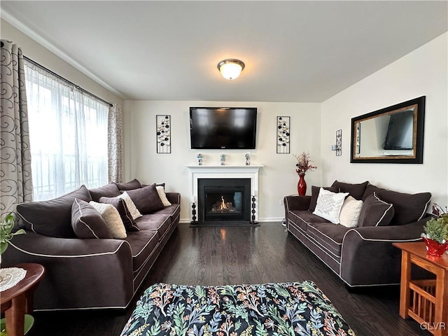 living room featuring dark wood-type flooring