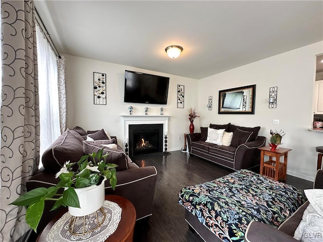 living room with dark hardwood / wood-style floors