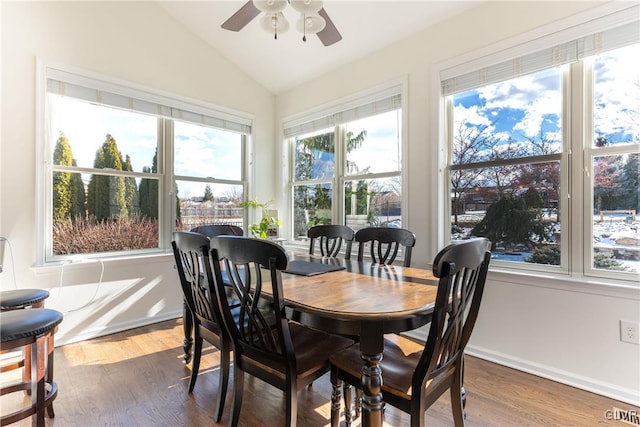 dining space featuring dark wood-type flooring, ceiling fan, and lofted ceiling