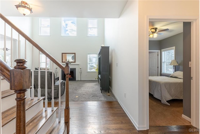 entrance foyer with dark hardwood / wood-style floors