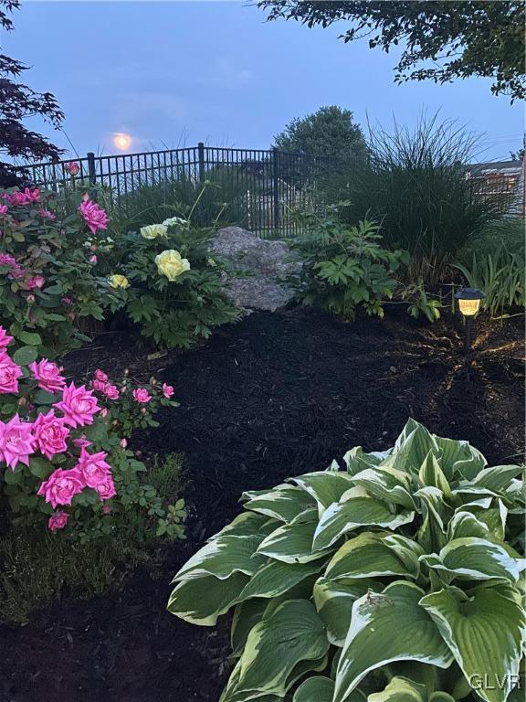 view of yard at dusk