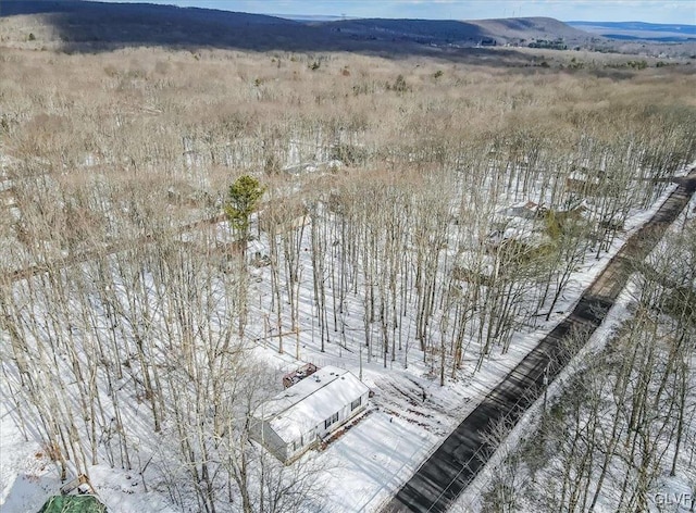 snowy aerial view featuring a mountain view