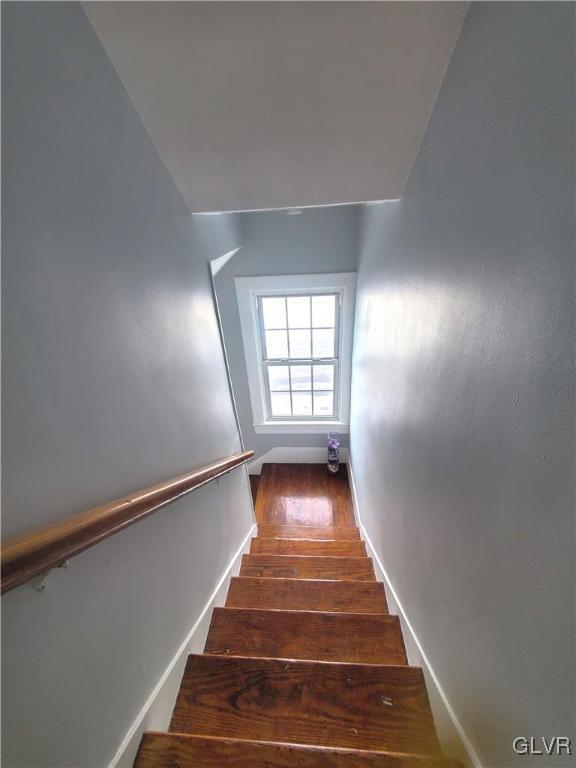 stairway with hardwood / wood-style flooring