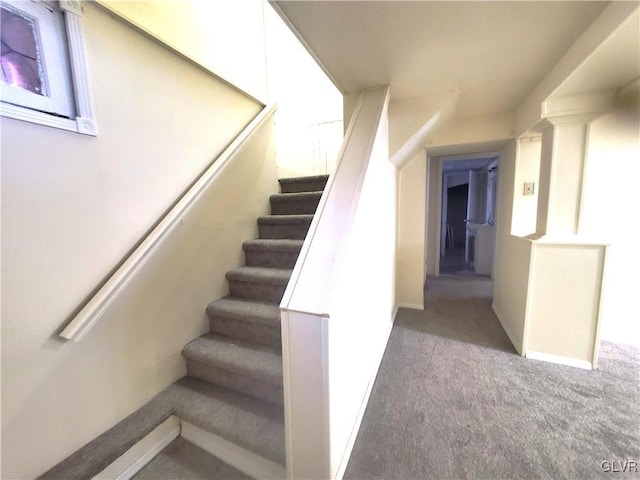 staircase with carpet floors