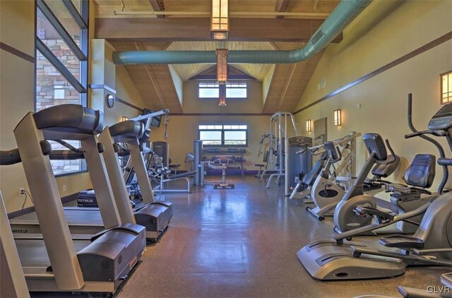 workout area featuring high vaulted ceiling