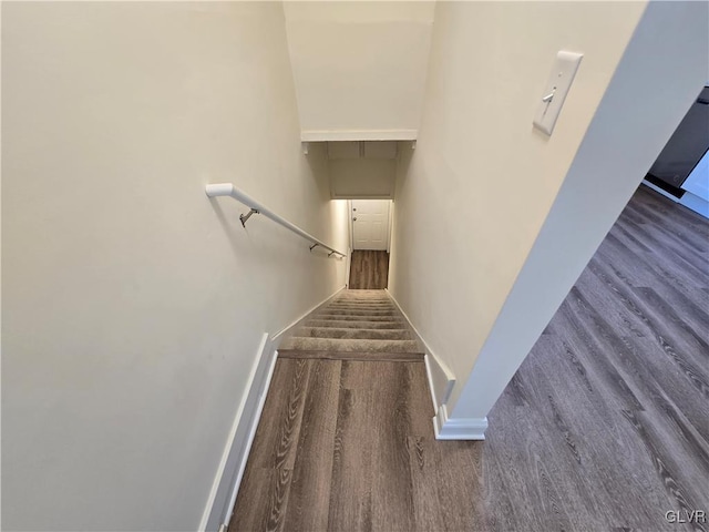 stairway with wood-type flooring