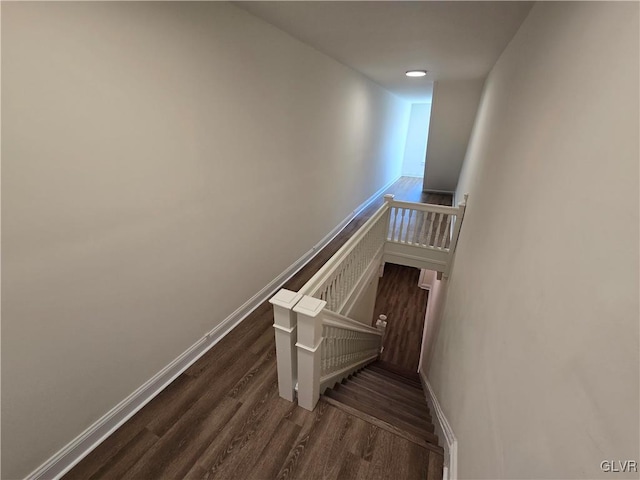 stairway with hardwood / wood-style floors