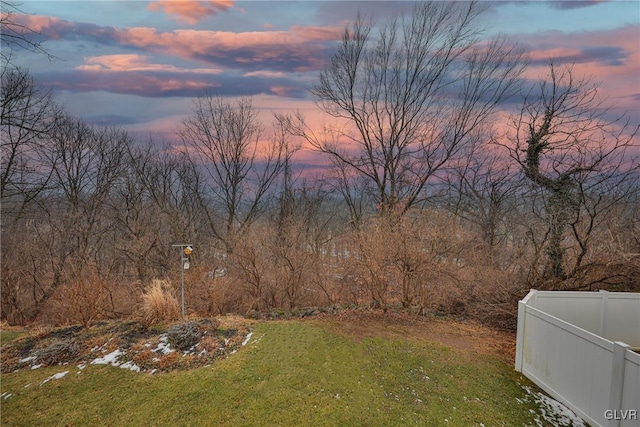 view of yard at dusk