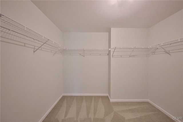 walk in closet featuring carpet flooring