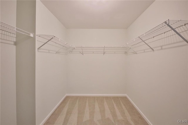 walk in closet with carpet