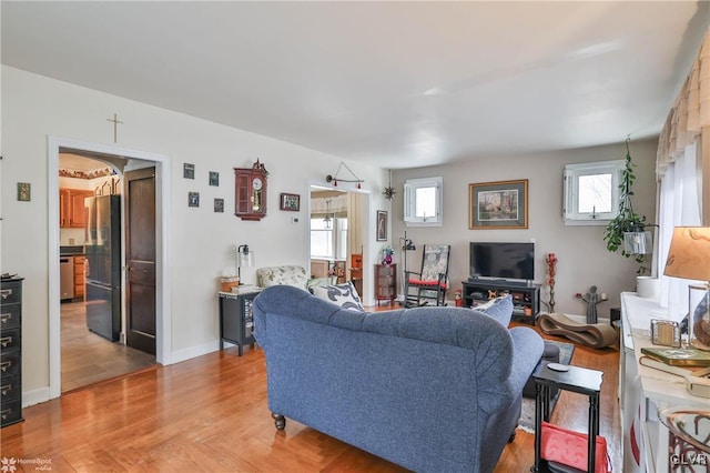 living room with hardwood / wood-style flooring