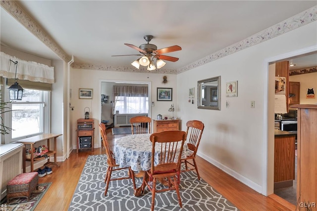 dining room with ceiling fan and light hardwood / wood-style flooring