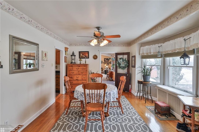 dining area featuring ceiling fan, radiator heating unit, and light hardwood / wood-style flooring