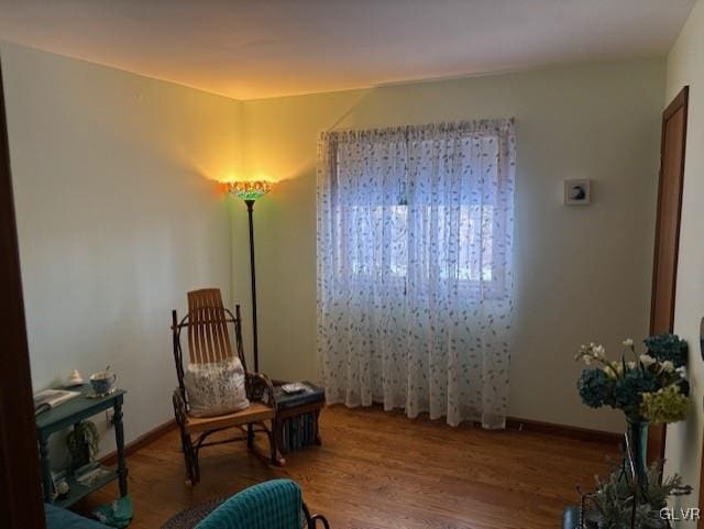 sitting room featuring hardwood / wood-style flooring