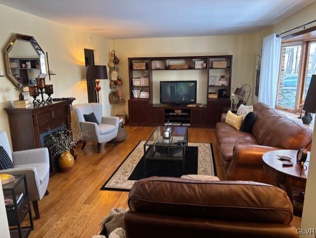 living room with light wood-type flooring