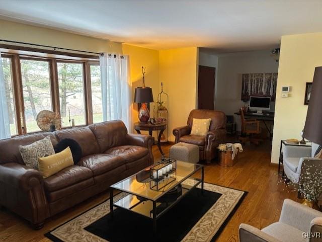 living room featuring hardwood / wood-style floors