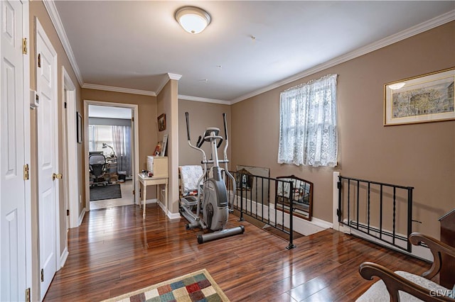 exercise room featuring dark wood-type flooring and crown molding