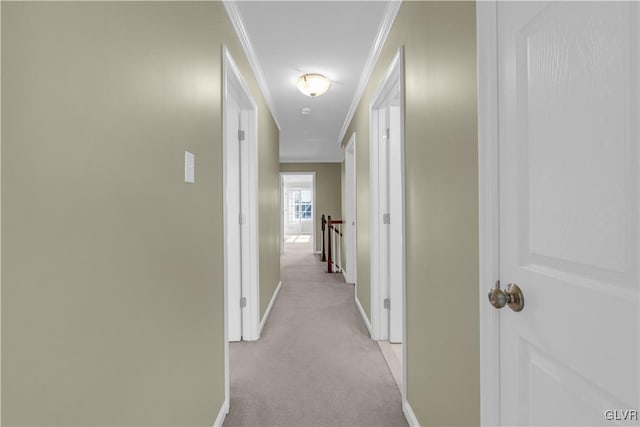 hallway featuring light colored carpet and ornamental molding