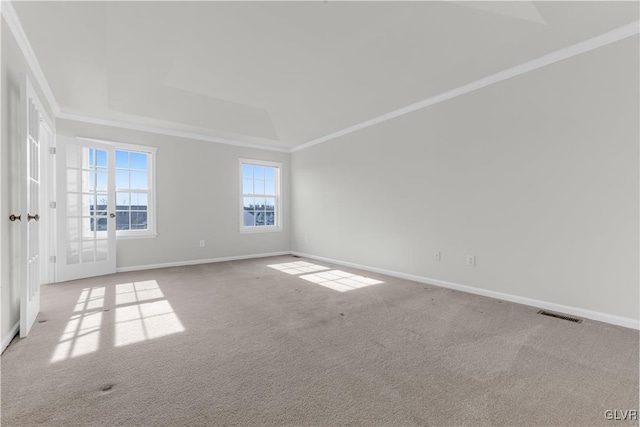 carpeted spare room with crown molding and a tray ceiling