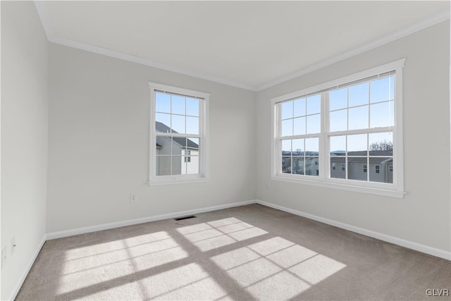 carpeted spare room featuring a wealth of natural light and ornamental molding