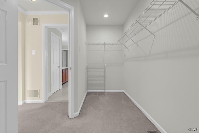 spacious closet with light carpet